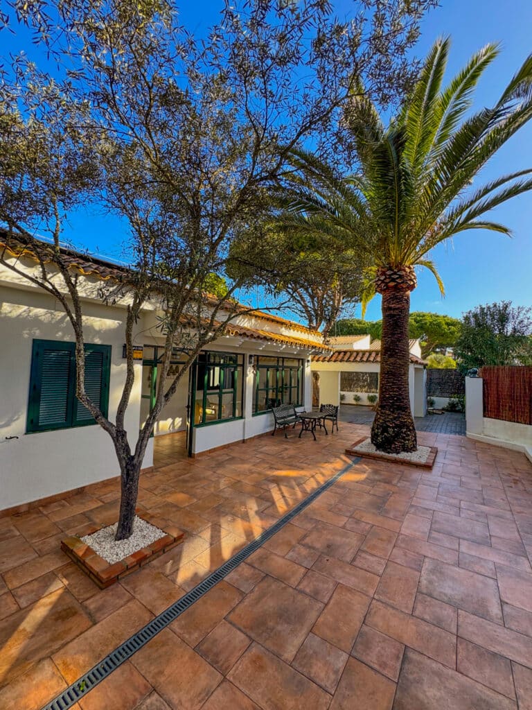 Terrasse mit Mosaikfliesen, flankiert von einem Olivenbaum und einer Palme, davor Gartenmöbel und ein weiß getünchtes Gebäude mit grünen Fensterläden im Hintergrund.